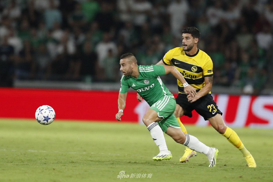 齐沃的理念 齐沃的理念